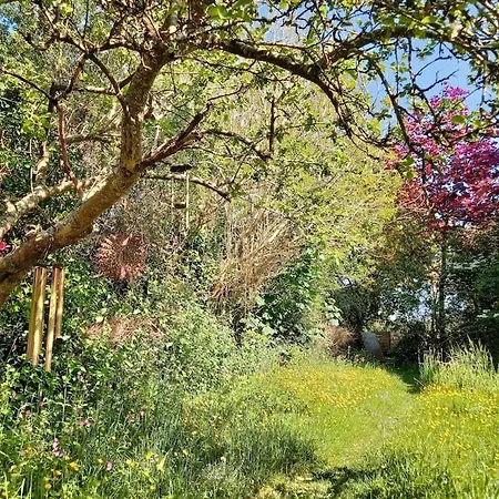 Δωμάτια σε οικογενειακή κατοικία Vegan Homestay And Retreat