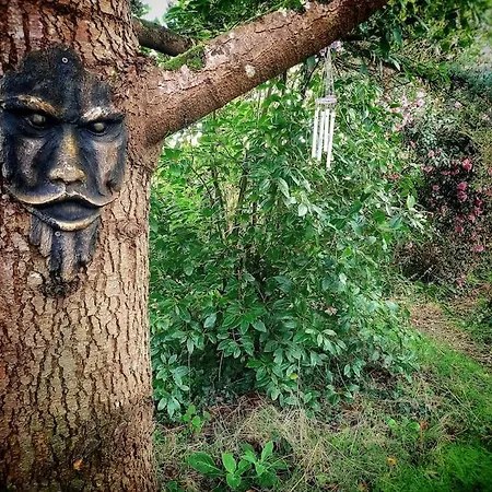 Δωμάτια σε οικογενειακή κατοικία Vegan Homestay And Retreat