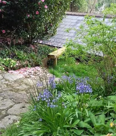 Vegan Homestay And Retreat